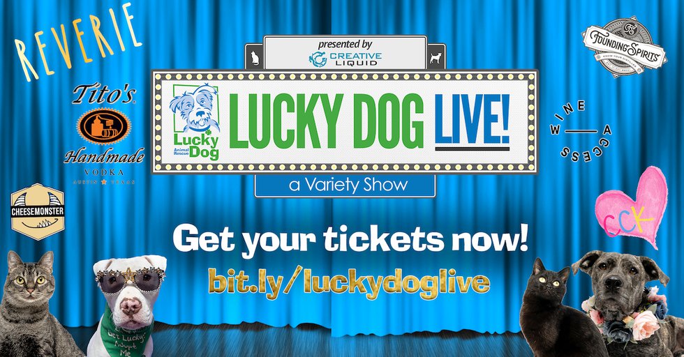 lucky dog tours